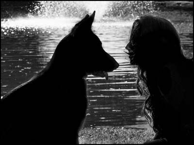 Silhouette