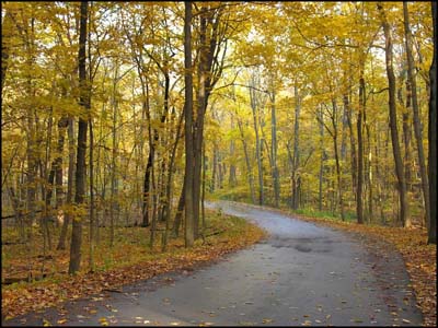 Elm road