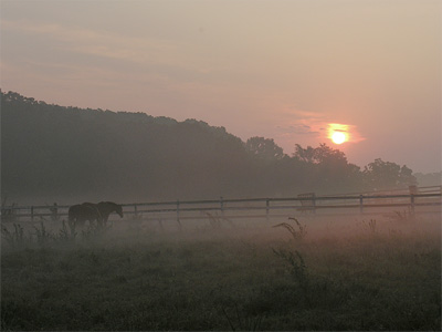 Danada Sunrise