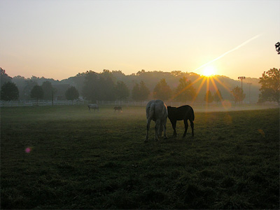 Danada Sunrise