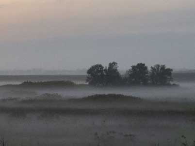 Springbrook Prairie Mist