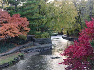 Riverwalk Fall